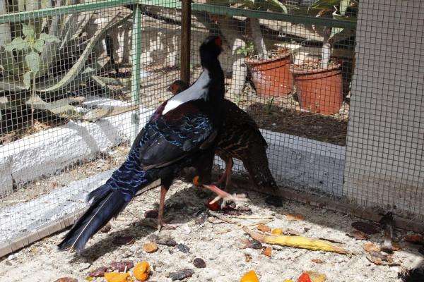 Terreno en El Ramblin s/n