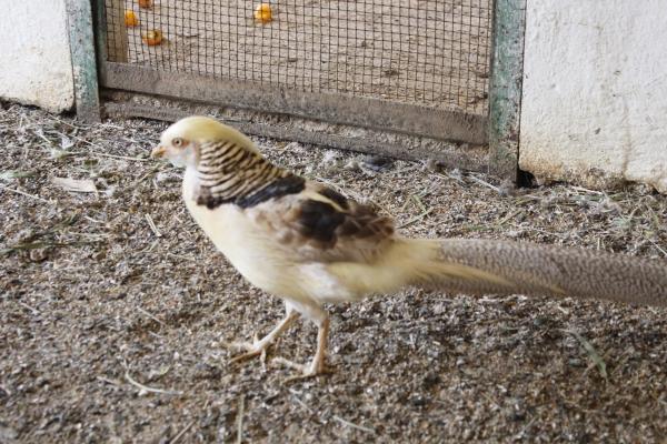 Terreno en El Ramblin s/n