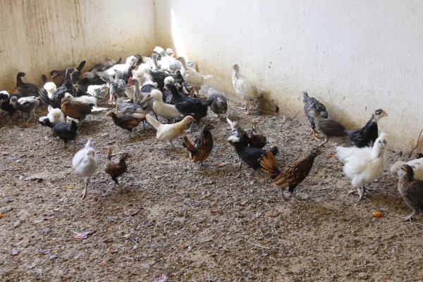 Terreno en El Ramblin s/n