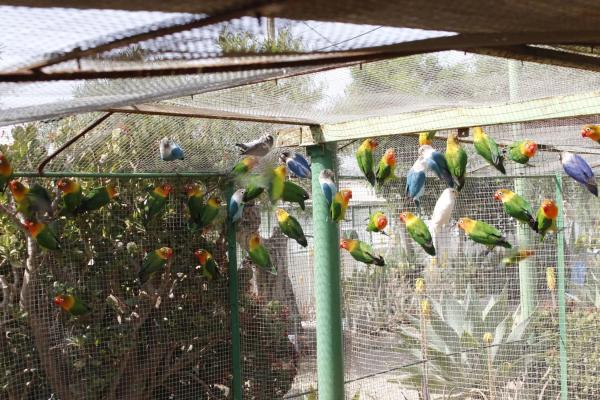 Terreno en El Ramblin s/n