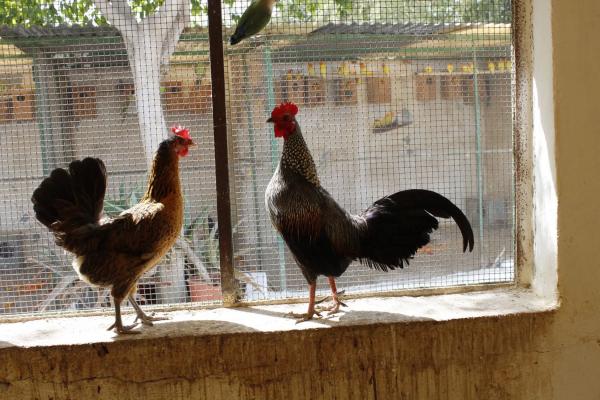 Terreno en El Ramblin s/n