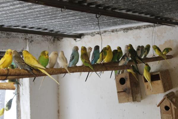 Terreno en El Ramblin s/n