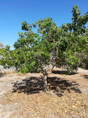 Terreno en camino la Yesera, 16