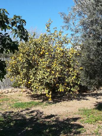 Terreno en camino la Yesera, 16