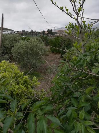 Terreno en camino la Yesera, 16