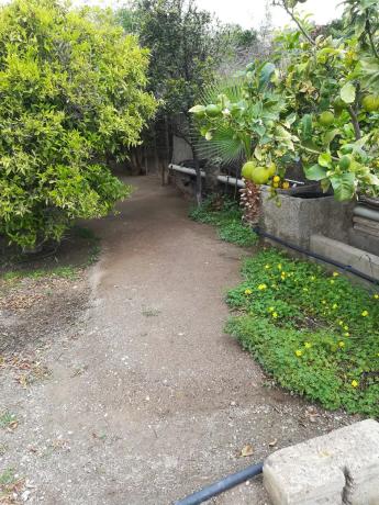 Terreno en camino la Yesera, 16