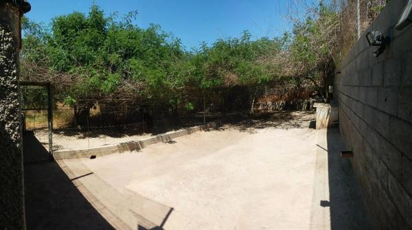 Terreno en camino la Yesera, 16