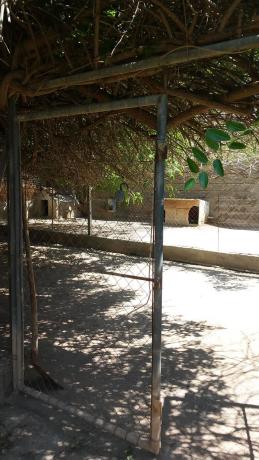 Terreno en camino la Yesera, 16