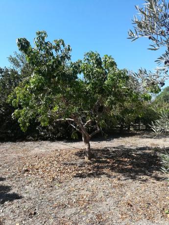 Terreno en camino la Yesera, 16