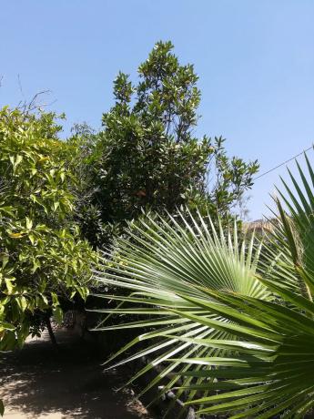 Terreno en camino la Yesera, 16