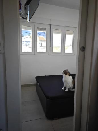 Estudio en calle Montesinos, 22 n