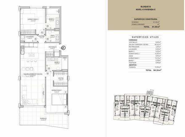 Belvedere Collection