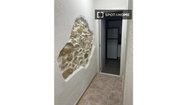 Apartamento de 3 dormitorios en Alicante