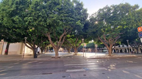 Piso en calle Tomás Capdepón