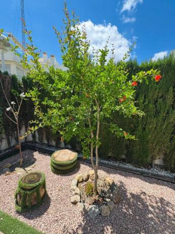 Chalet pareado en calle Alicante