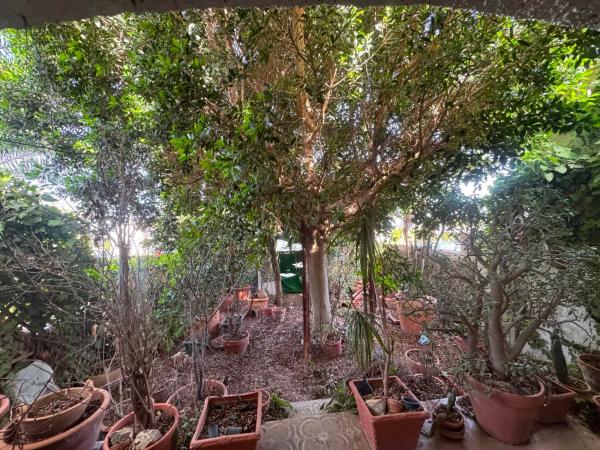 Chalet en Ciudad Quesada