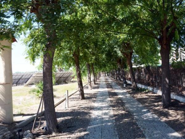 Chalet en Daya Vieja