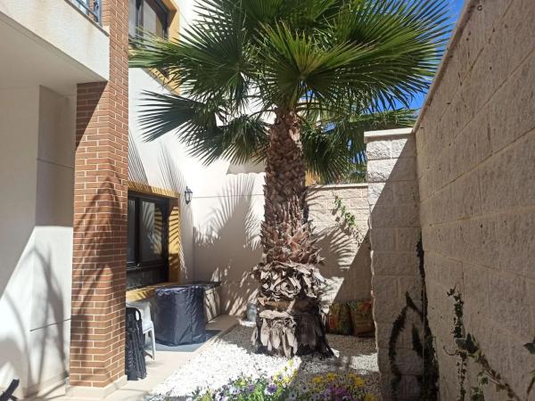 Piso en calle Carcaixent, 14