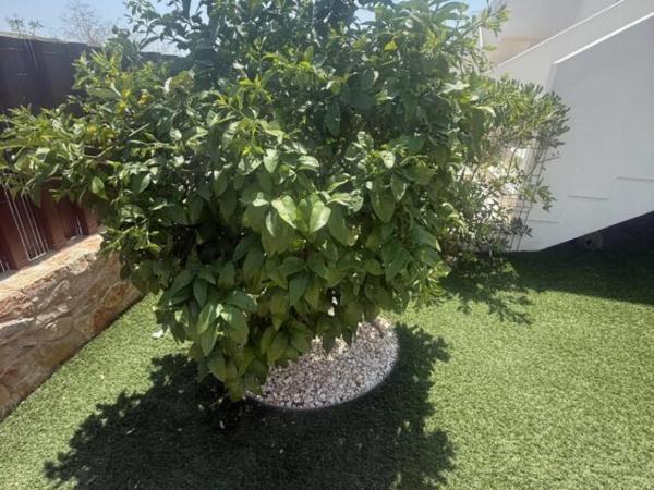 Piso en Los Montesinos