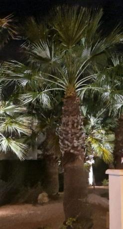 Estudio en calle Huelva, 32 a app F21-3