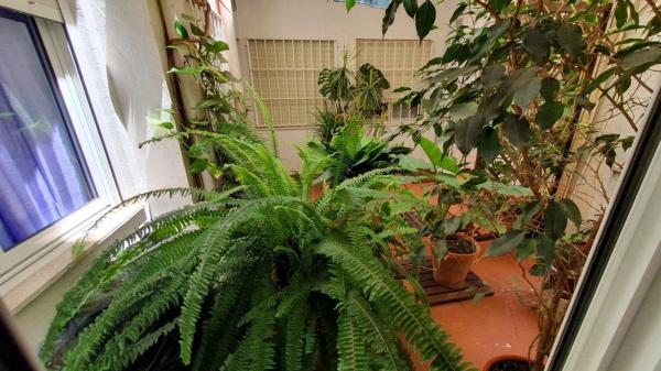 Piso en calle Segovia