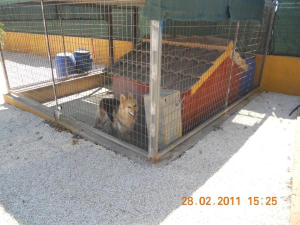 Casa independiente en plaza Altabix, 112