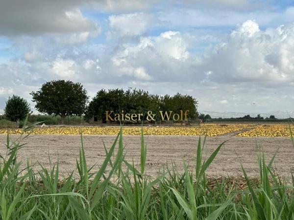 Casa rural en Partida Marina