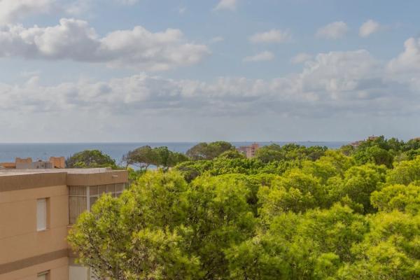 Piso en Arenales del Sol