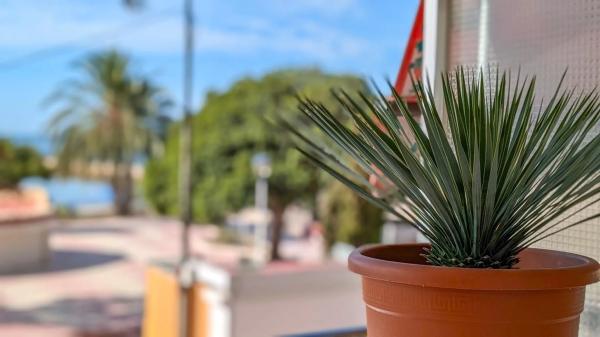 Piso en avenida Alcalde Francisco Conejero Bas