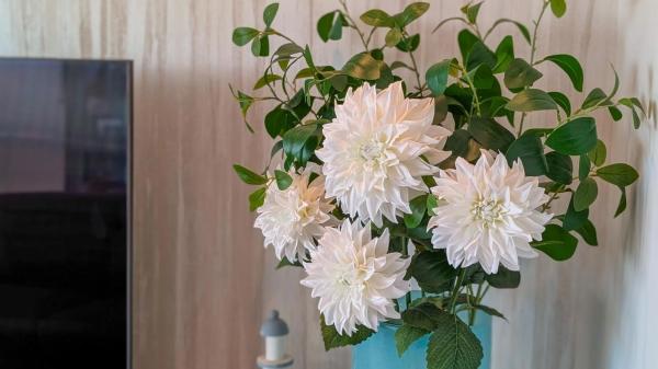 Piso en avenida Alcalde Francisco Conejero Bas