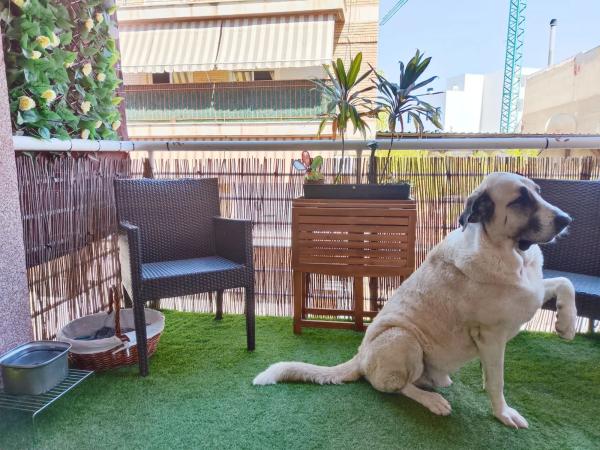 Piso en calle Migdia