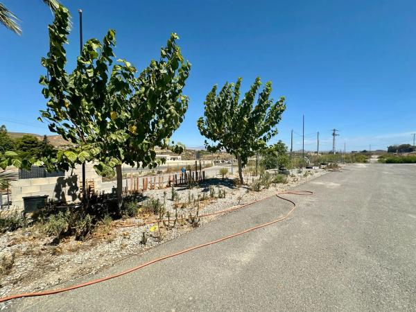 Casa independiente en camino Viejo de Elche