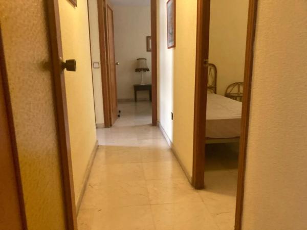 Piso en avenida Eusebi Sempere, 11