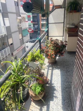 Piso en calle Almoradí