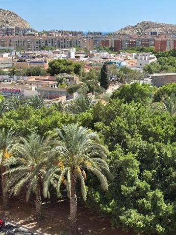 Piso en avenida Juan Sanchis Candela, 7