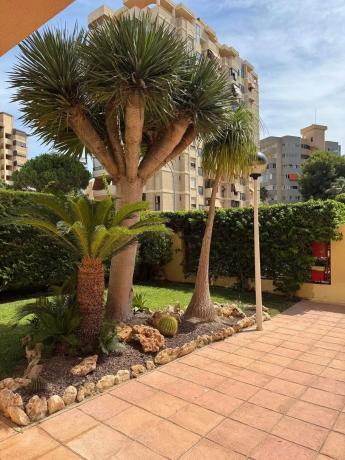 Ático en calle Carmelo Simón Plá, 4