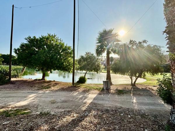 Piso en calle Escultor José Gutierrez