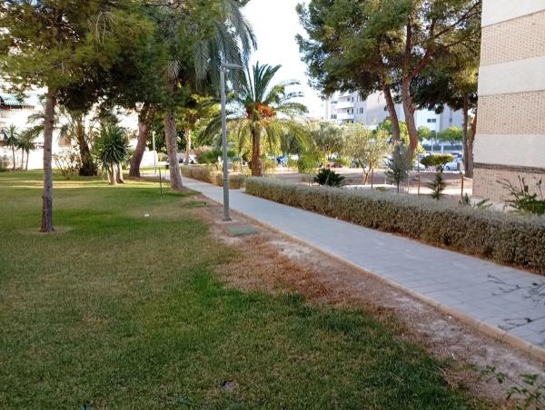 Piso en avenida Antonio Ramos Carratalá, 92