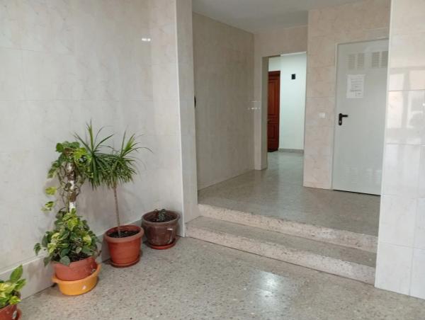 Piso en avenida Antonio Ramos Carratalá, 92