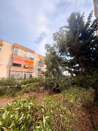 Piso en calle Fotógrafo Francisco Sánchez s/n