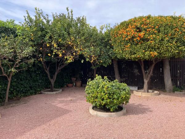 Casa independiente en calle de Benidoleig, 9