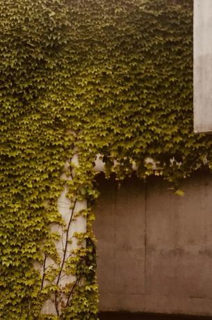 Casa independiente en calle Llevant, 18