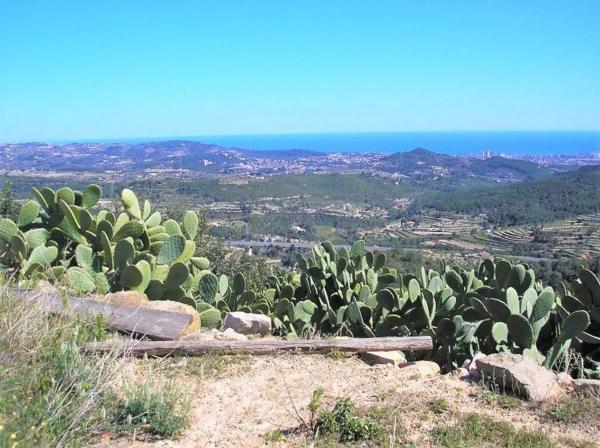 Chalet en La Fustera