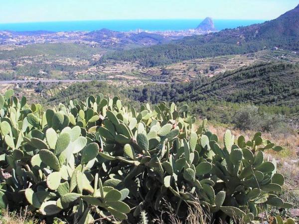 Chalet en La Fustera