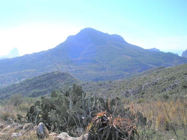 Chalet en La Fustera