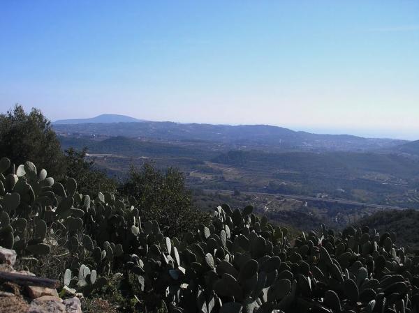 Chalet en La Fustera