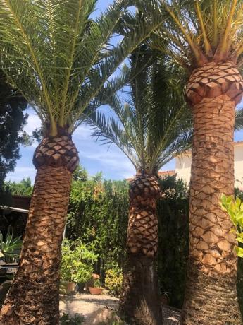 Casa independiente en Urbanización La Vallesa, 20