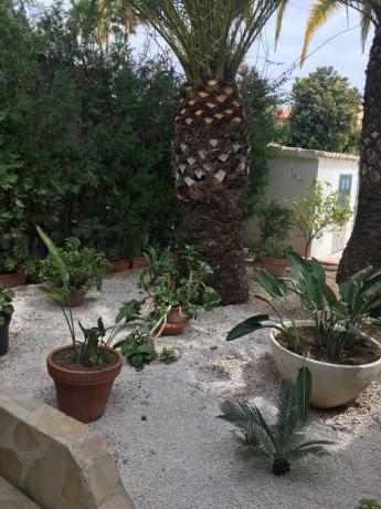 Casa independiente en Urbanización La Vallesa, 20