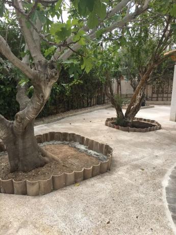 Casa independiente en Urbanización La Vallesa, 20