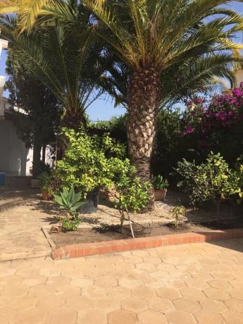 Casa independiente en Urbanización La Vallesa, 20